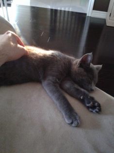 I don't care how cute you are. You're distracting me!