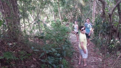 I love jungles!