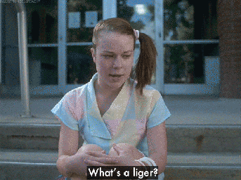liger-2