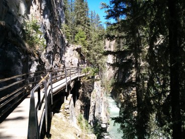 Walking through Johnston Canyon.