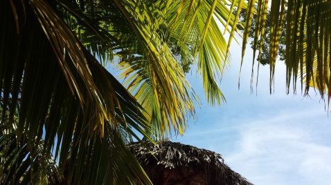 20150208_131020.jpg